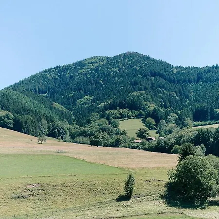 Rustikales 35qm Mit Balkon Naehe Freiburg דירה סימונסבאל