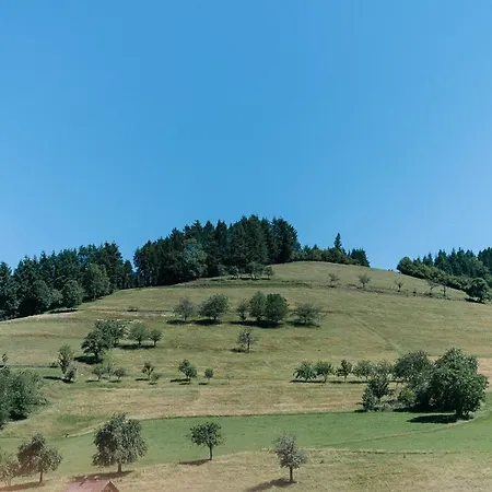 Apartamento Rustikales 35qm Mit Balkon Naehe Freiburg